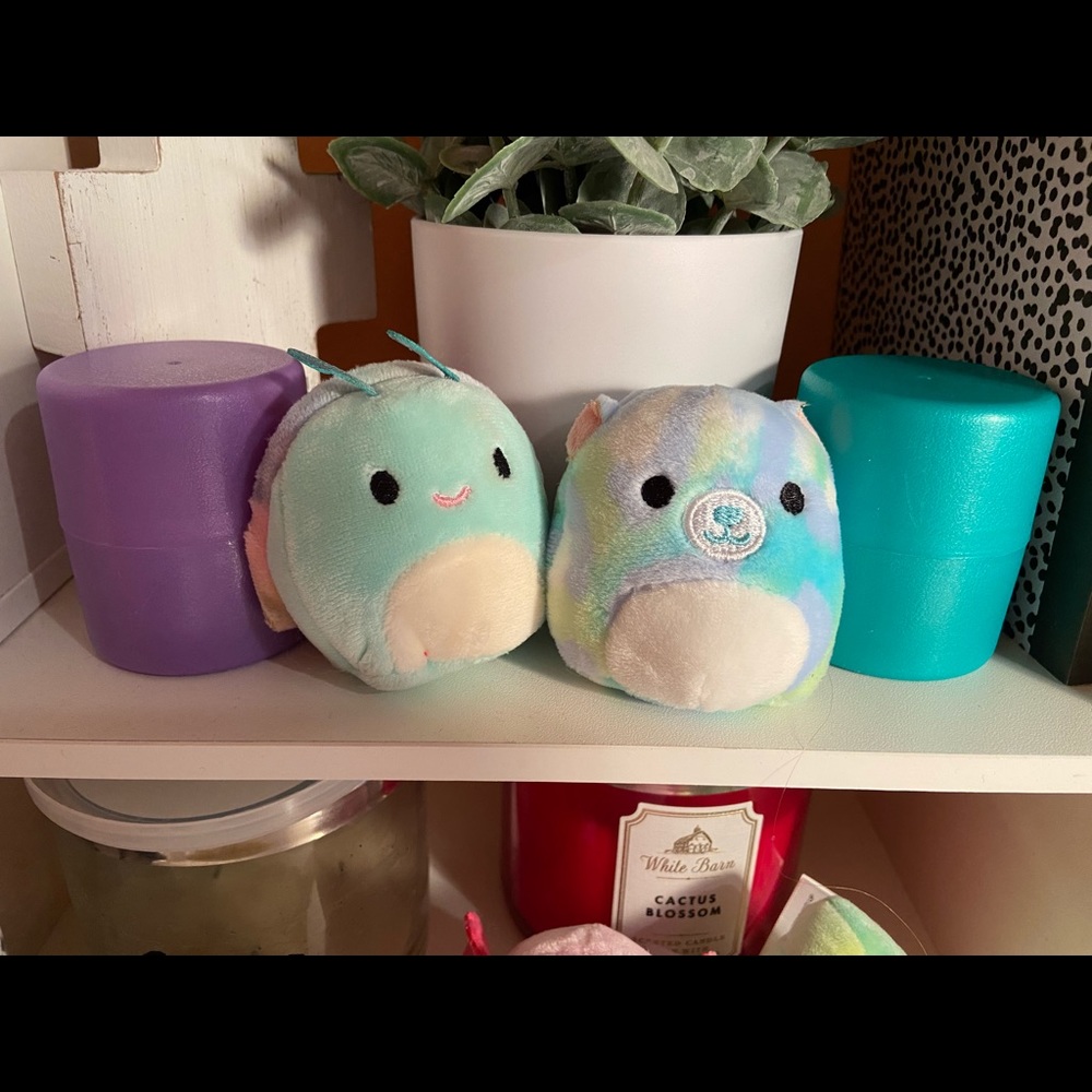 Sid the snail and Lindsey the bear. Both for $15